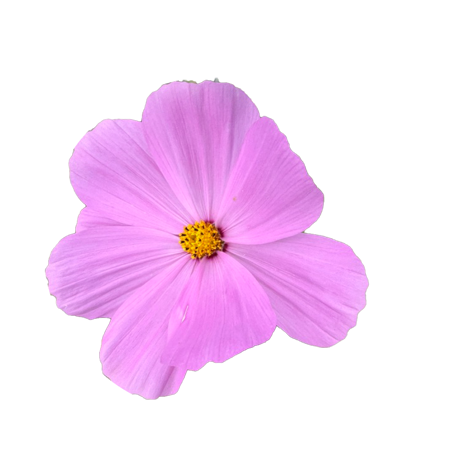 School of Filip Tomas – online education for personal growth and conscious life.