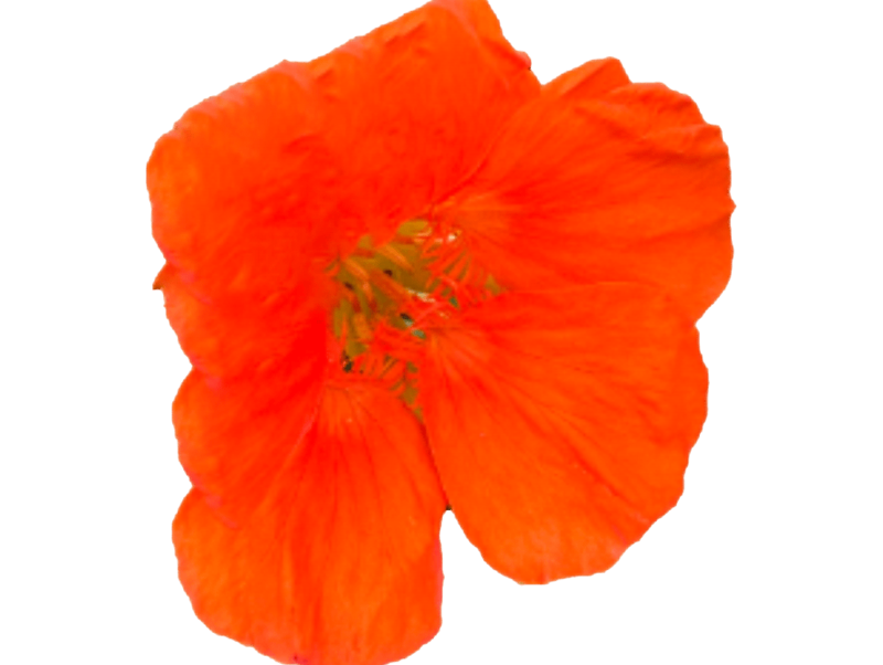 One-day Saturday seminars designed for self-awareness, personal insight, and practical inner work. Gentle guidance without pressure, supporting your own pace and personal path.